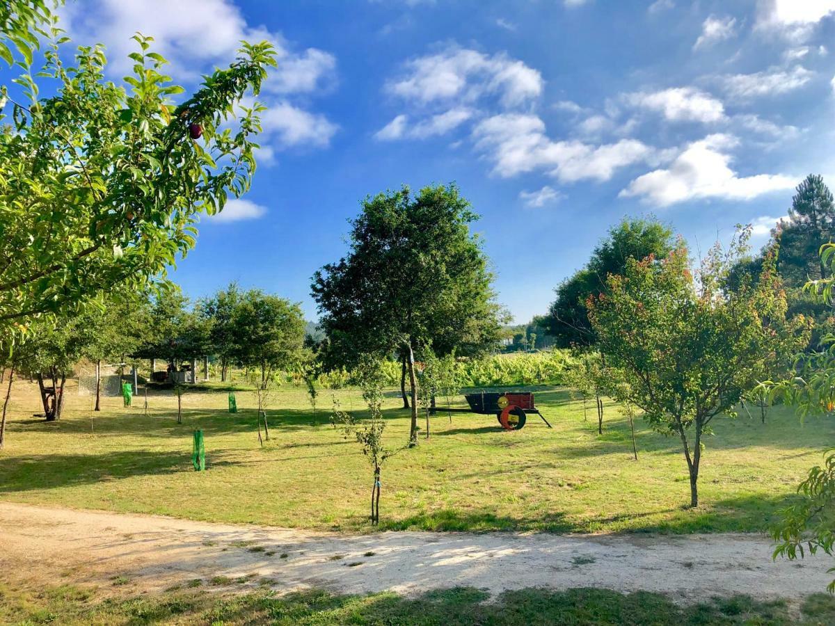 Вилла Casa Da Quinta Da Prelada Simao Селорику-ди-Башту Экстерьер фото