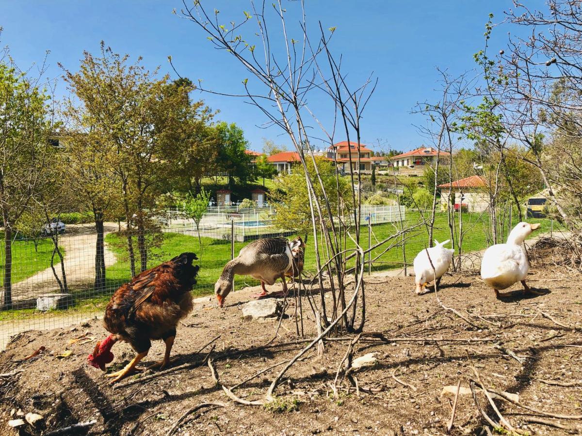 Вилла Casa Da Quinta Da Prelada Simao Селорику-ди-Башту Экстерьер фото